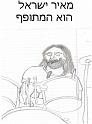מאיר ישראל